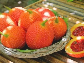 QUẢ GẤC CÙNG NHỮNG ĐIỀU THÚ VỊ MÀ BẠN CHƯA BIẾT