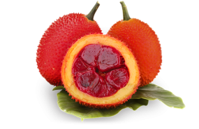  Fresh Gac's Fruit 